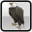 Eddy The Eagle
